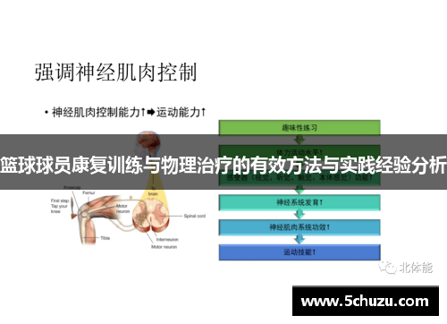 篮球球员康复训练与物理治疗的有效方法与实践经验分析